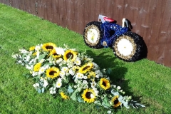 Flowers_Bike2